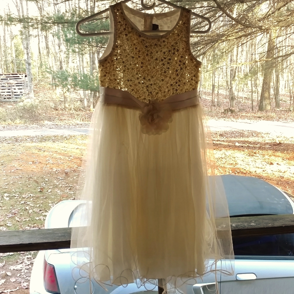 Beautiful formal girls dress with matching shoes